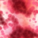 Blut