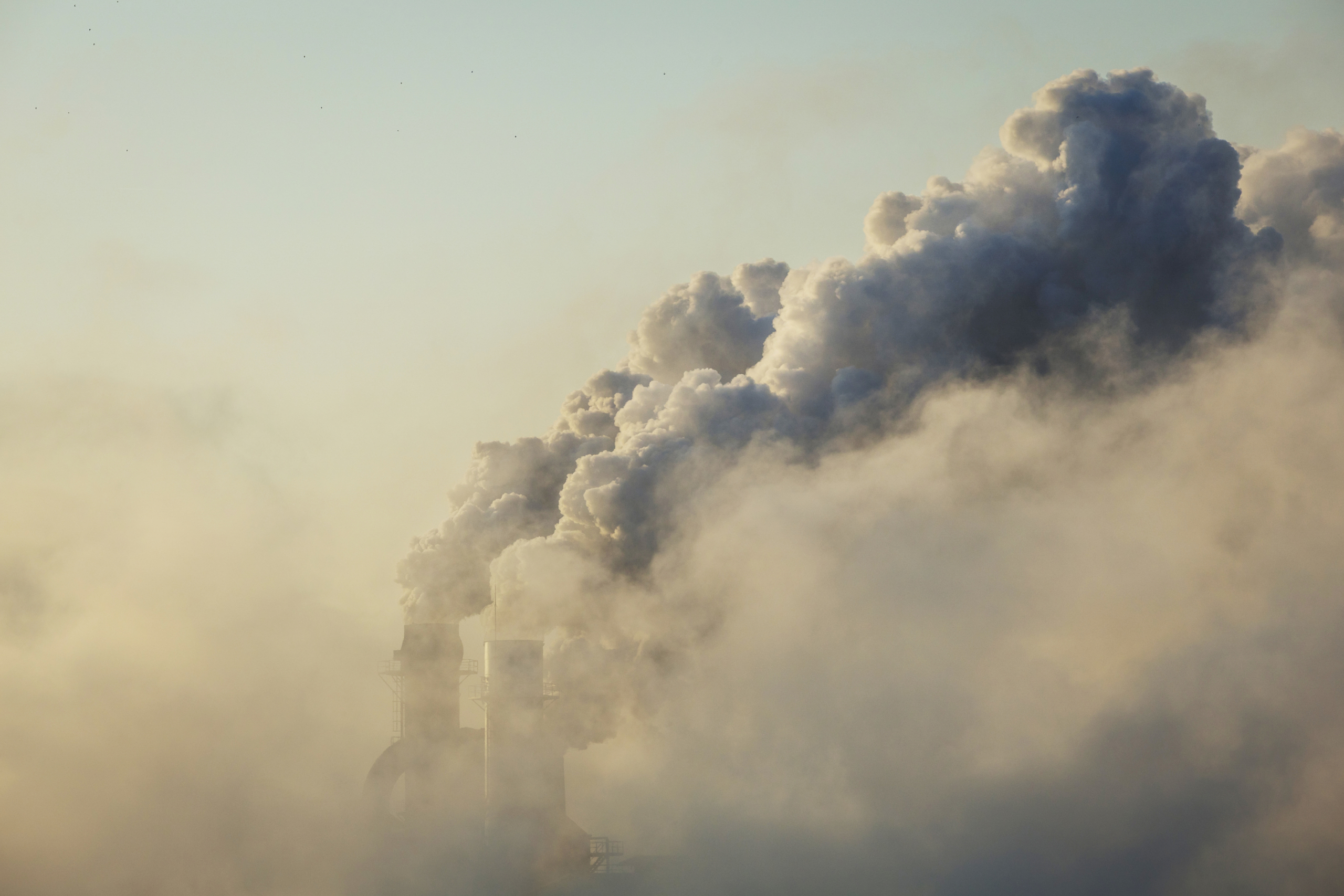 Schornsteinqualm und giftige Emissionen ud. Abgase